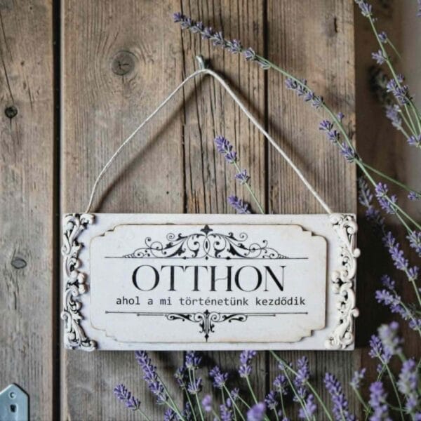 AJTÓDÍSZ otthon történet