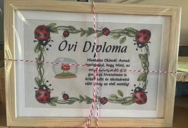 Ovi diploma ballagásra