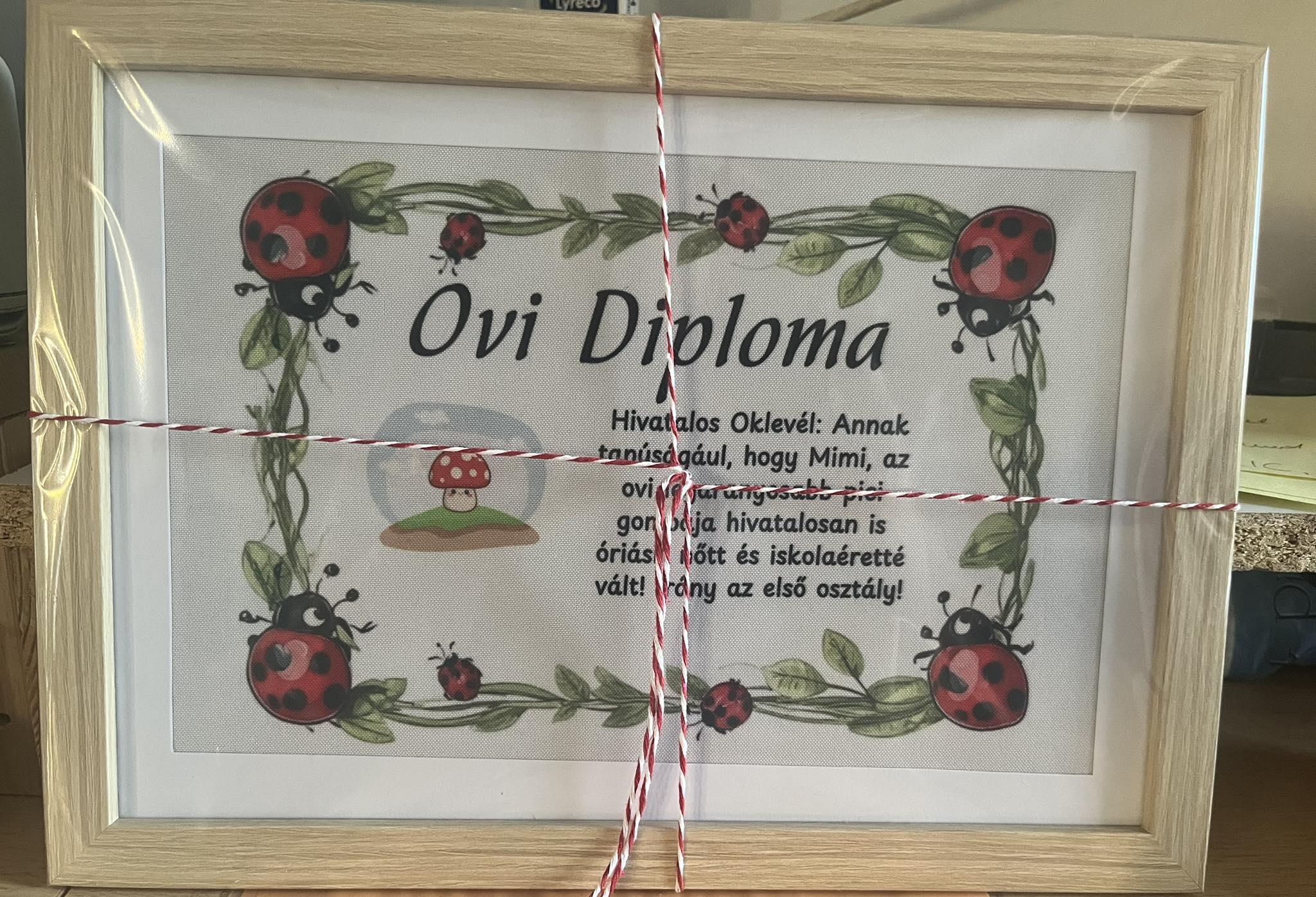 Ovi diploma ballagásra