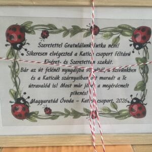 Ovi diploma ballagásra