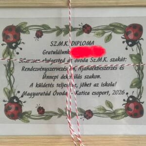 Ovi diploma ballagásra