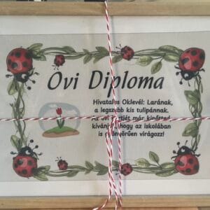 Ovi diploma ballagásra