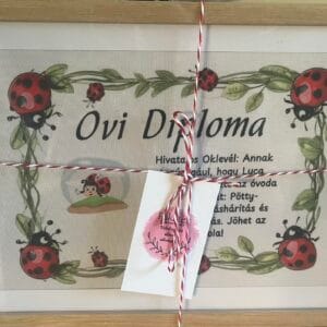 Ovi diploma ballagásra