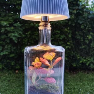Florárium lámpás