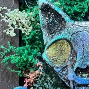 Starborn Fox – térbeli falikép