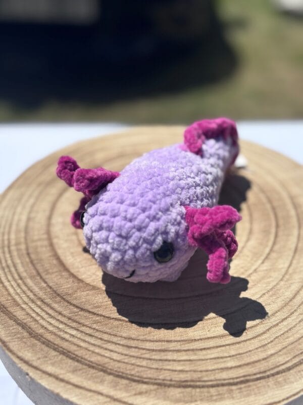 Axolotl több színben
