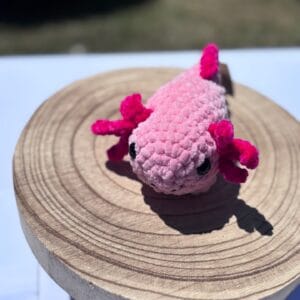 Axolotl több színben