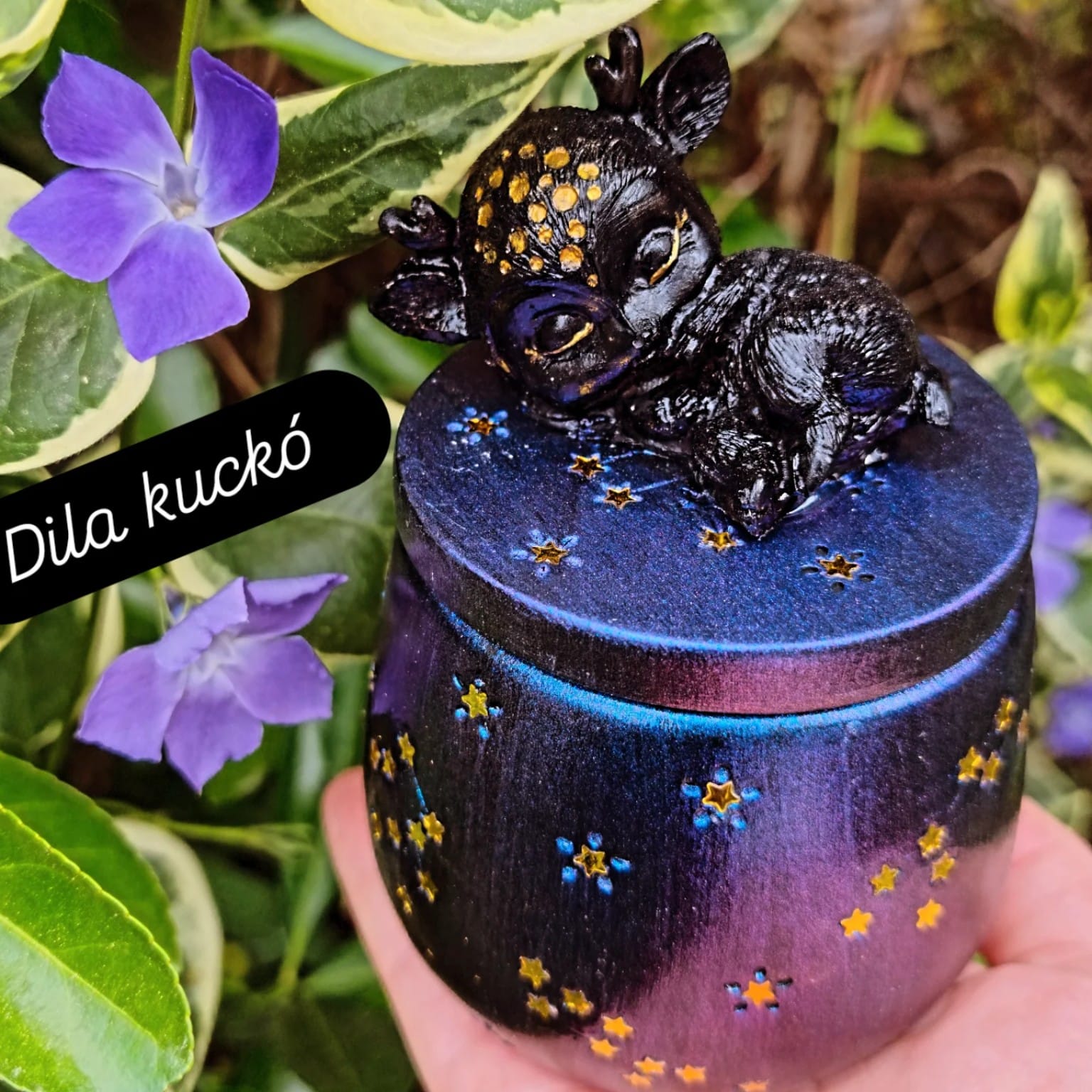 ✨✨Luna Serenita✨✨