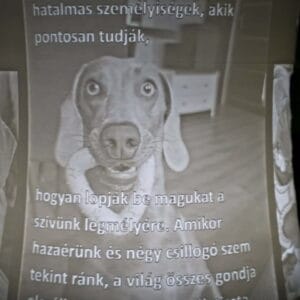 LÉLEKLÁMPA az emlékek megőrzésére