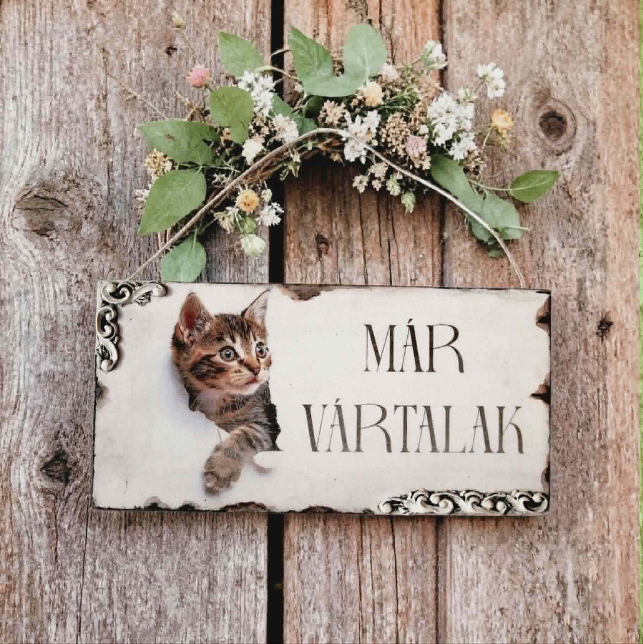 AJTÓDÍSZ macskás