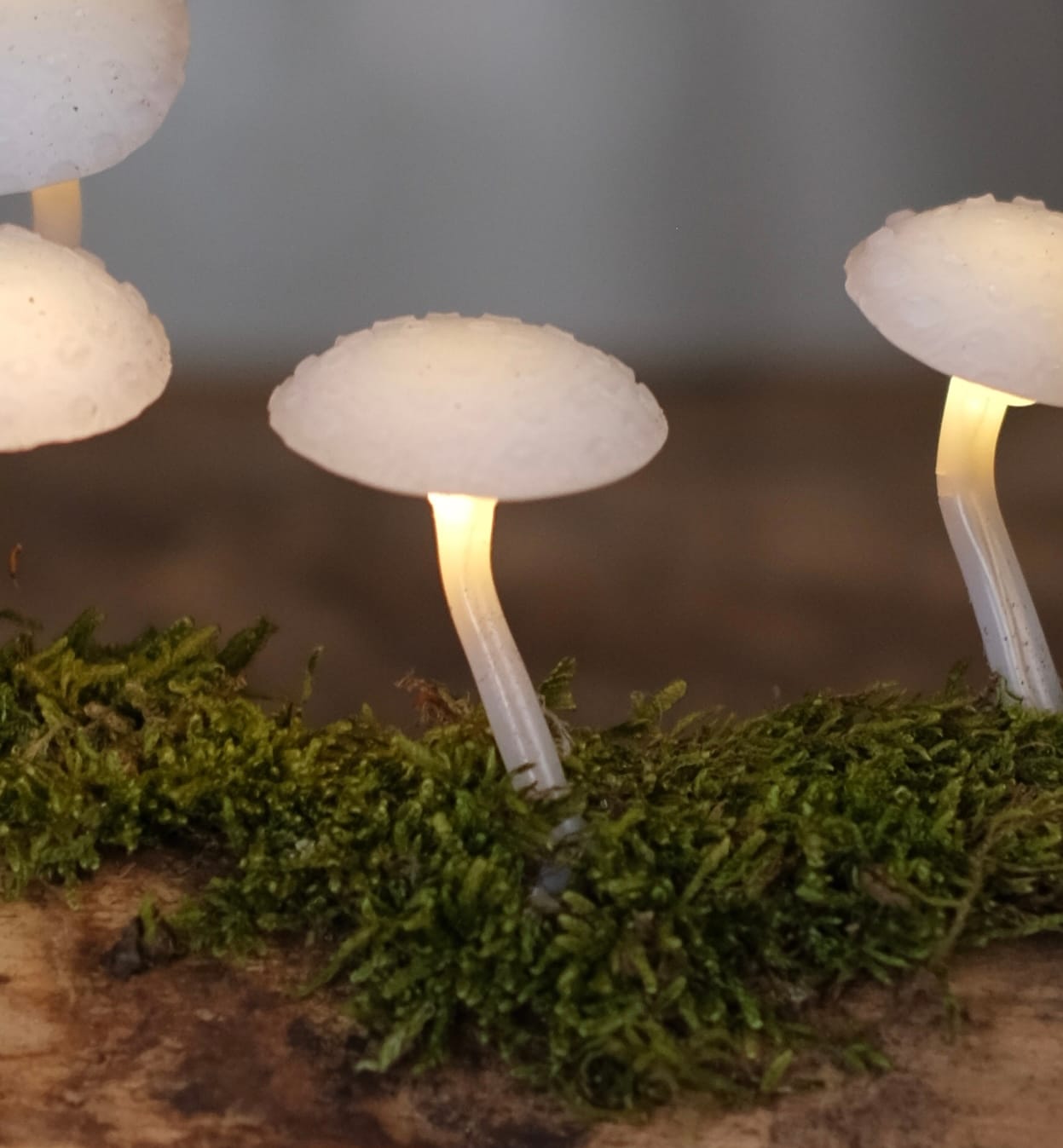 Nagy búrás lámpás – Pöttyös kalapos