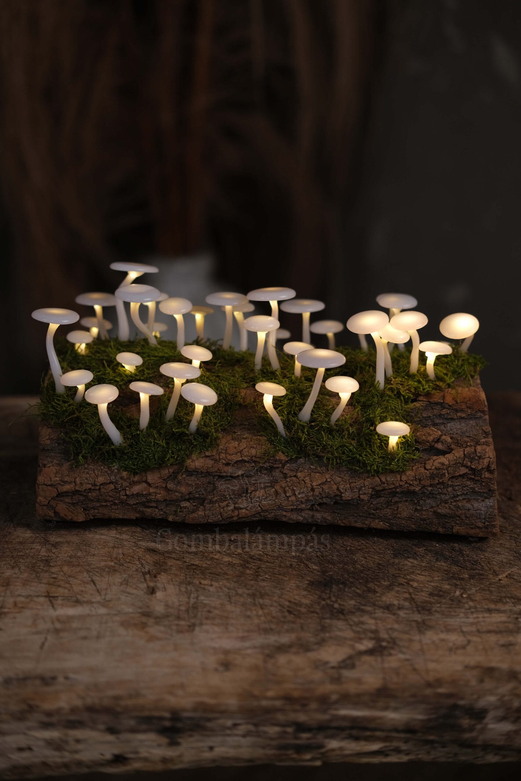40 LED-es Gombalámpás – Sima kalapos
