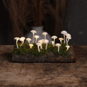 20 LED-es Gombalámpás – Pöttyös kalapos