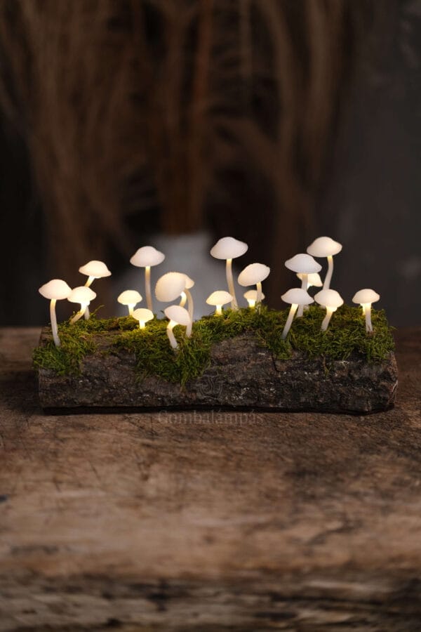 20 LED-es Gombalámpás – Búbos kalapos