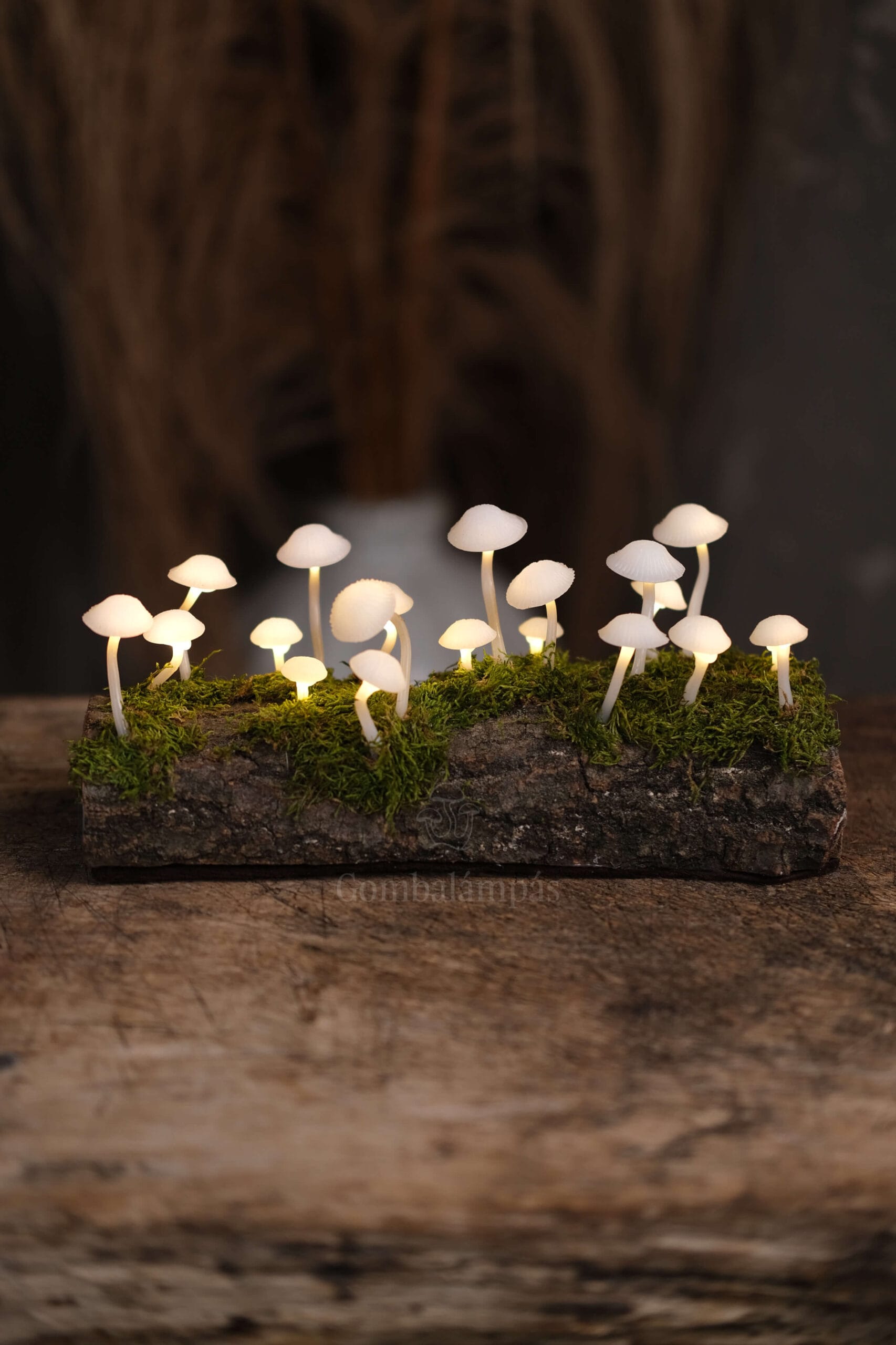 20 LED-es Gombalámpás – Búbos kalapos