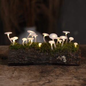 20 LED-es Gombalámpás – Sima kalapos