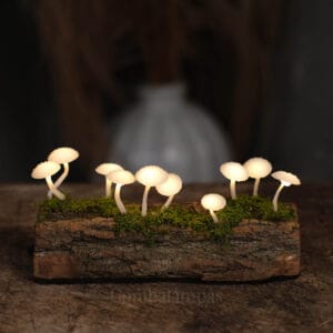 10 LED-es Gombalámpás – Pöttyös kalapos