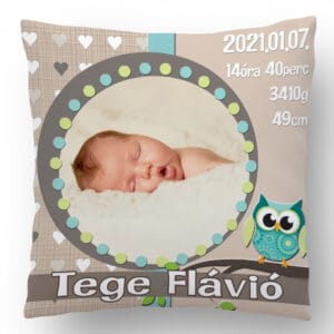 Fényképes Bagolykás párna