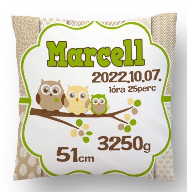 Barna Zöld Bagoly család Megérkeztem Párna