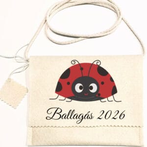 Ballagó tarisznya katica csoport 2026