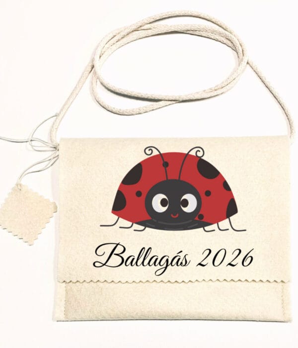 Ballagó tarisznya katica csoport 2026