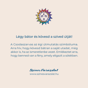 Csodaszarvas – Égi útmutatás