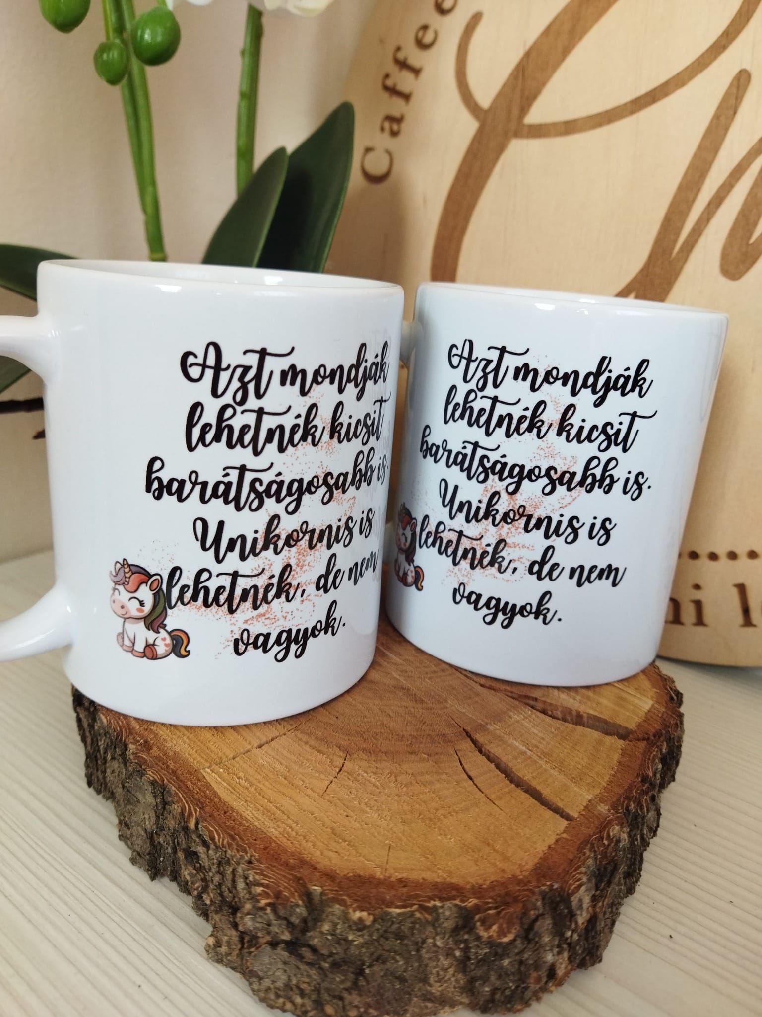 Vicces bögre barátnőknek