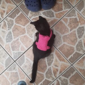 Kézzel horgolt kutya hátizsák kutyakaki zacsi tartó