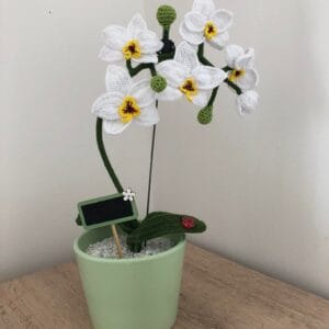 Horgolt orchidea
