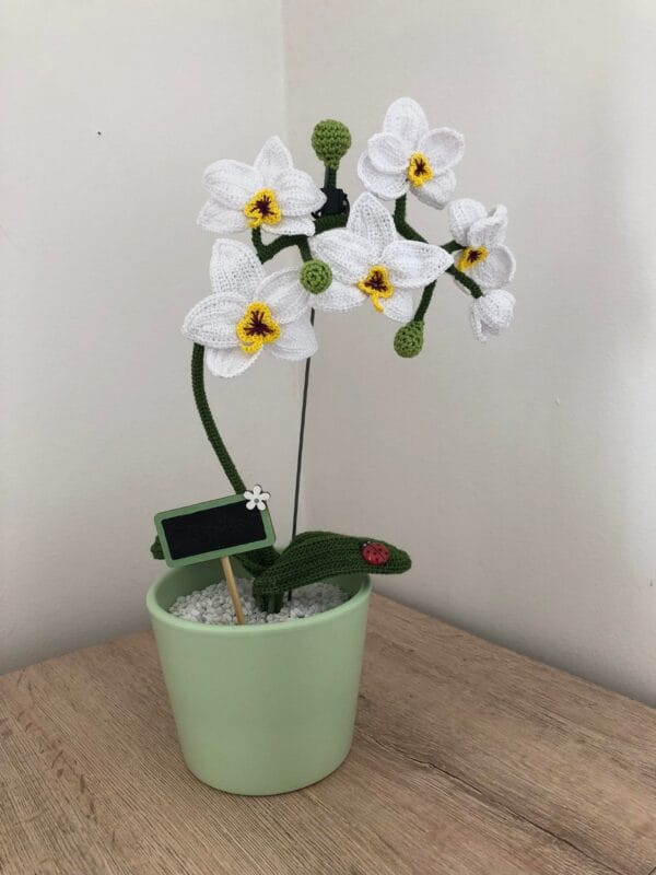 Horgolt orchidea