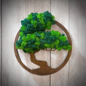 Bonsai fa tartósított izlandi zuzmóból
