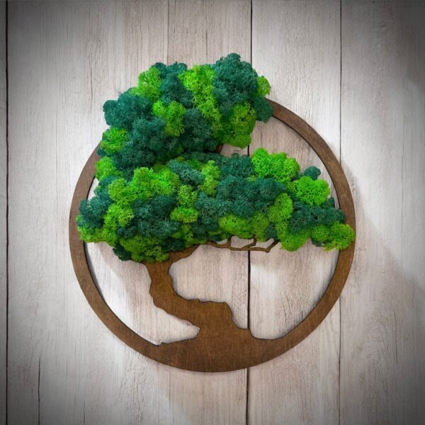 Bonsai fa tartósított izlandi zuzmóból