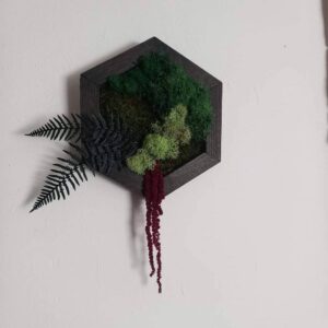 Hexagon falikèp izlandi zuzmóval