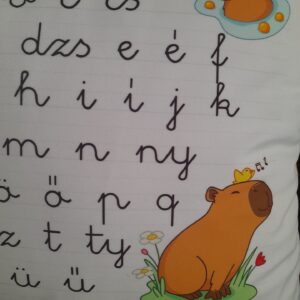 Abc mintás gyerek fejlesztő díszpárna Kapibara