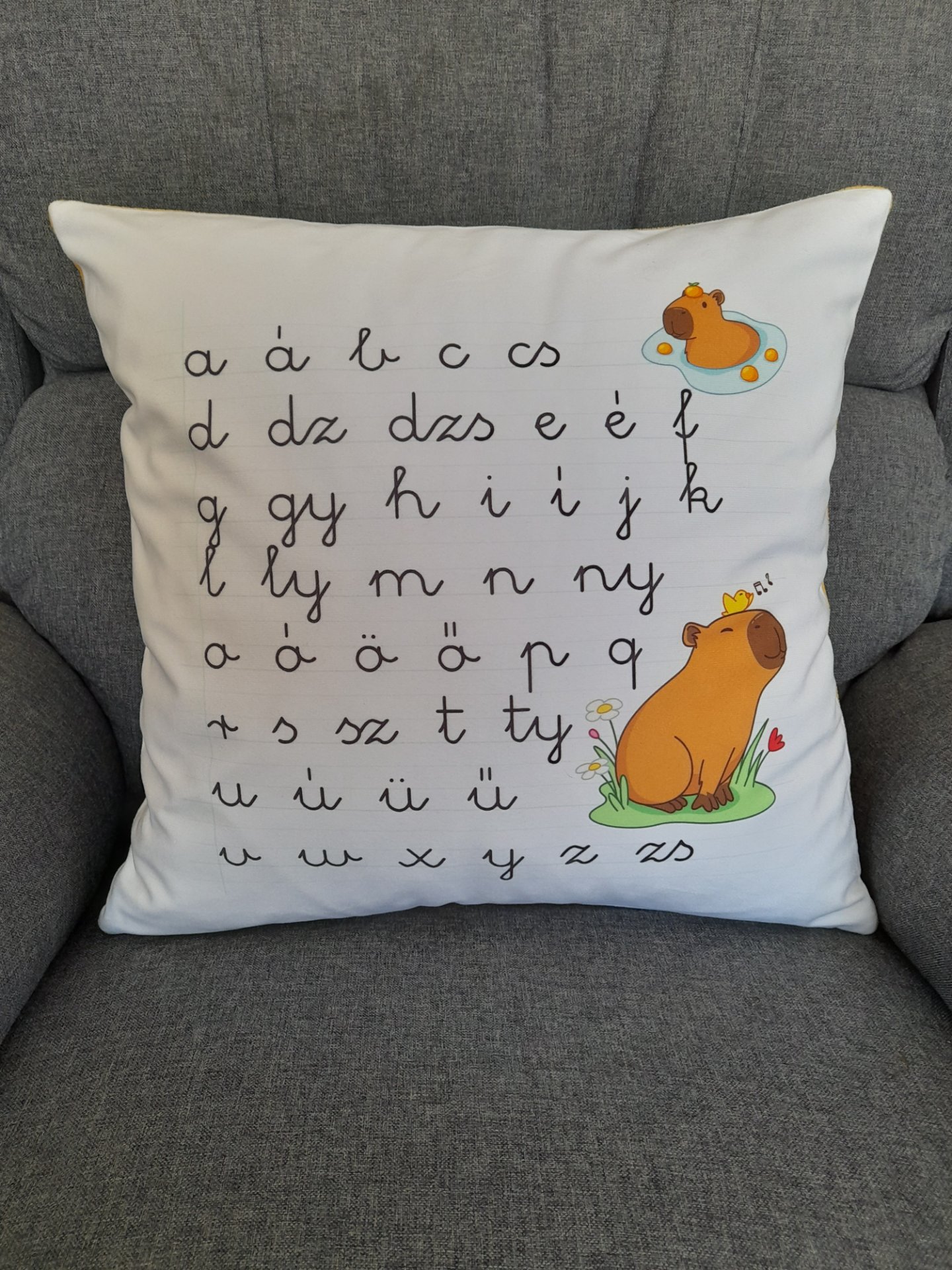 Abc mintás gyerek fejlesztő díszpárna Kapibara