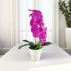 Nagyméretű ciklámen orchidea OR108