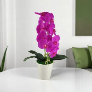 Nagyméretű ciklámen orchidea OR108