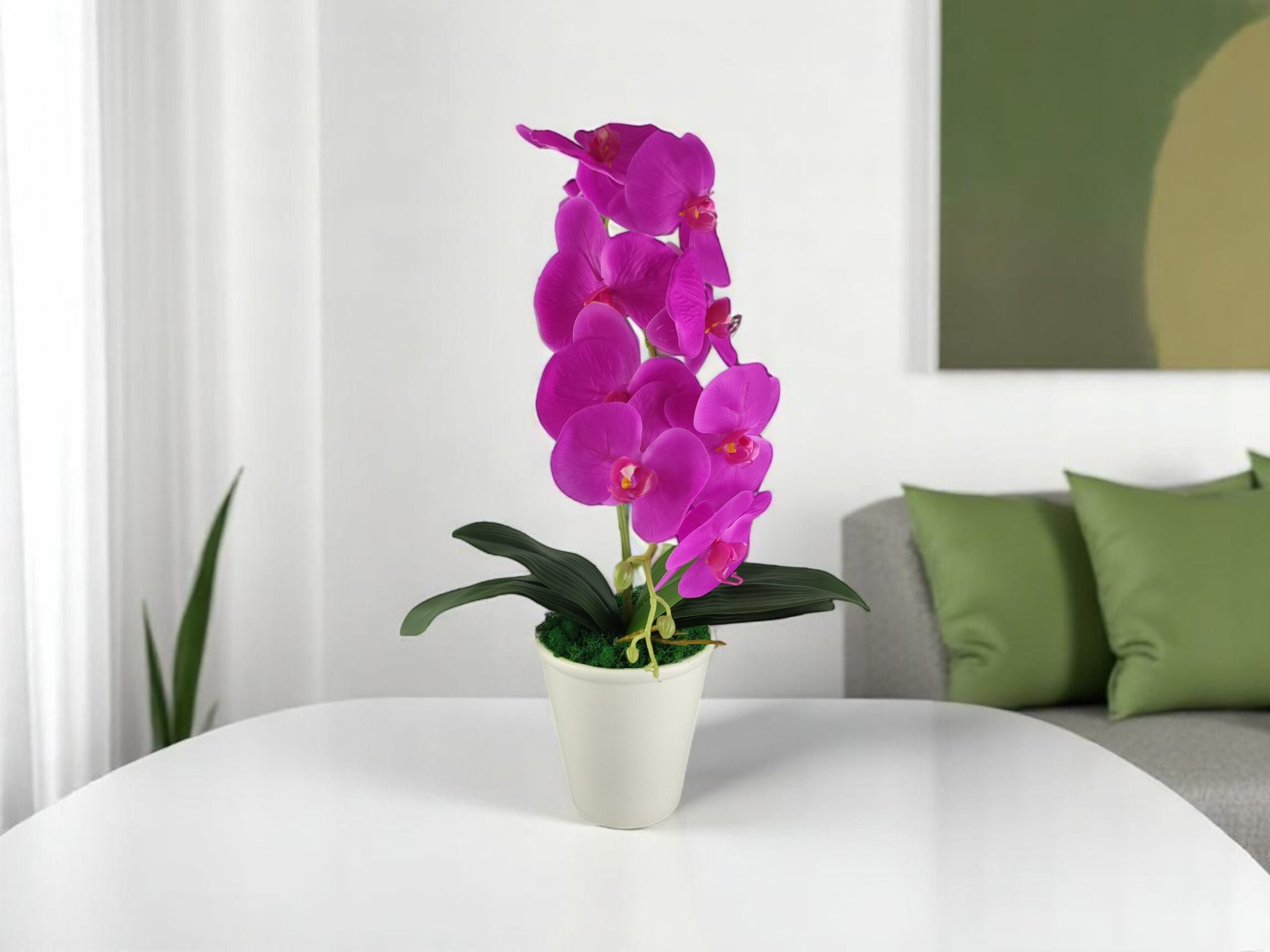 Nagyméretű ciklámen orchidea OR108