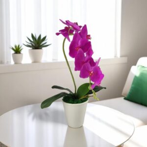 Nagyméretű ciklámen orchidea OR108