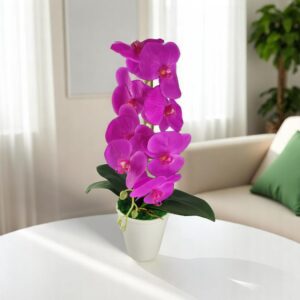 Nagyméretű ciklámen orchidea OR108