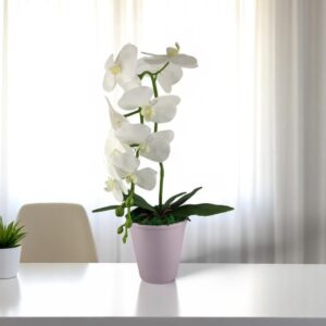 Nagyméretű egyszálas orchidea OR110