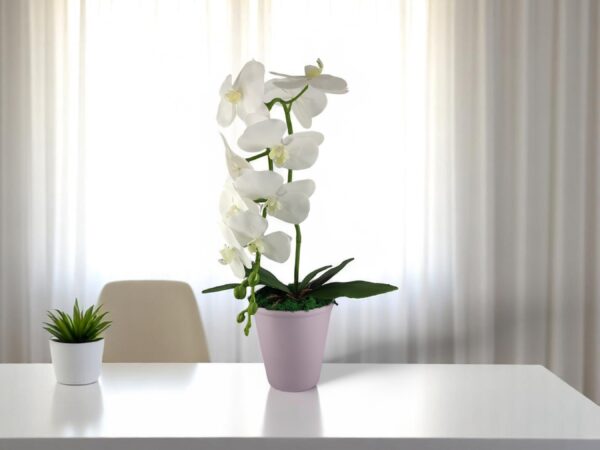 Nagyméretű egyszálas orchidea OR110