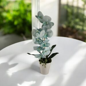 Halványkék nagyméretű orchidea OR117