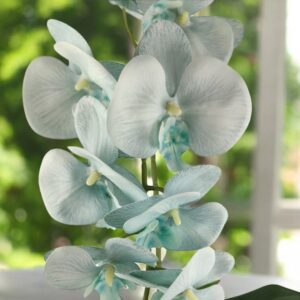 Halványkék nagyméretű orchidea OR117