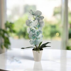 Halványkék nagyméretű orchidea OR117