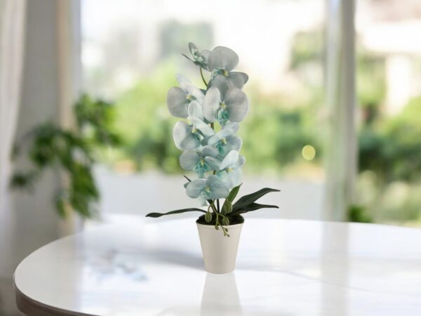 Halványkék nagyméretű orchidea OR117