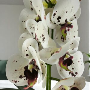 Fehér burgundi pöttyös nagyméretű egyszálas élethű orchidea OR122