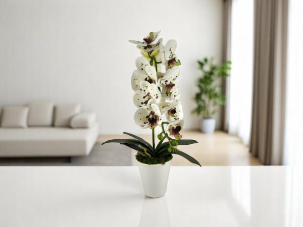 Fehér burgundi pöttyös nagyméretű egyszálas élethű orchidea OR122