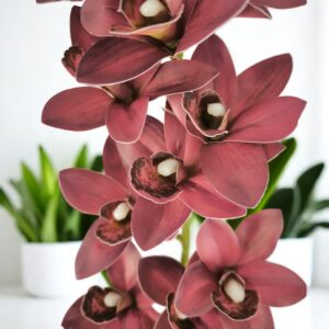 Élethű nagy méretű egyszálas burgundi csónakorchidea ORC108