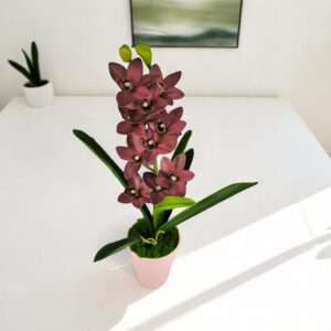 Élethű nagy méretű egyszálas burgundi csónakorchidea ORC108